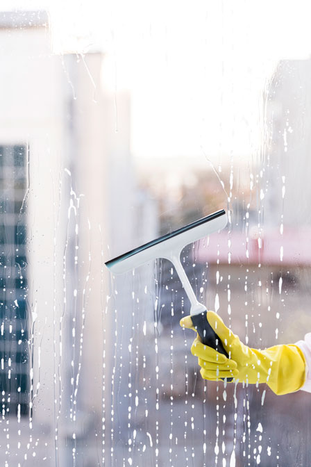 Window Cleaning